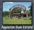 Appleton Estate Rum Tour