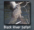 Black River Safari
