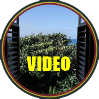 Kudehya Guesthouse, Treasure Beach, St. Elizabeth, Jamaica